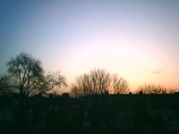 Image for 'Soundscape'